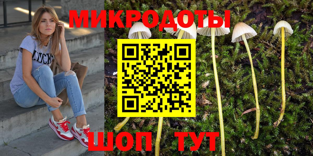 Галлюциногенные грибы ЛСД Ефремов